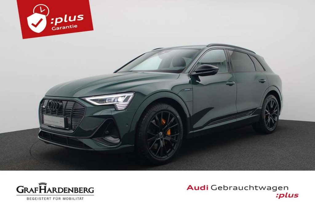 Audi e-tron 55 quattro S line Matrix Navi ACC B&O Pano