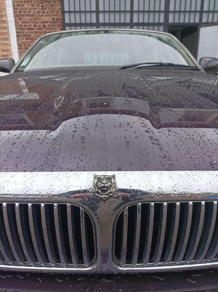 Jaguar XJ8 3.2 A